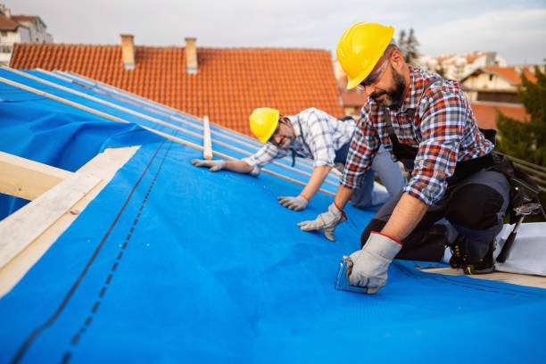 Best Roof Insulation Installation  in Orcdlands Estates, HI